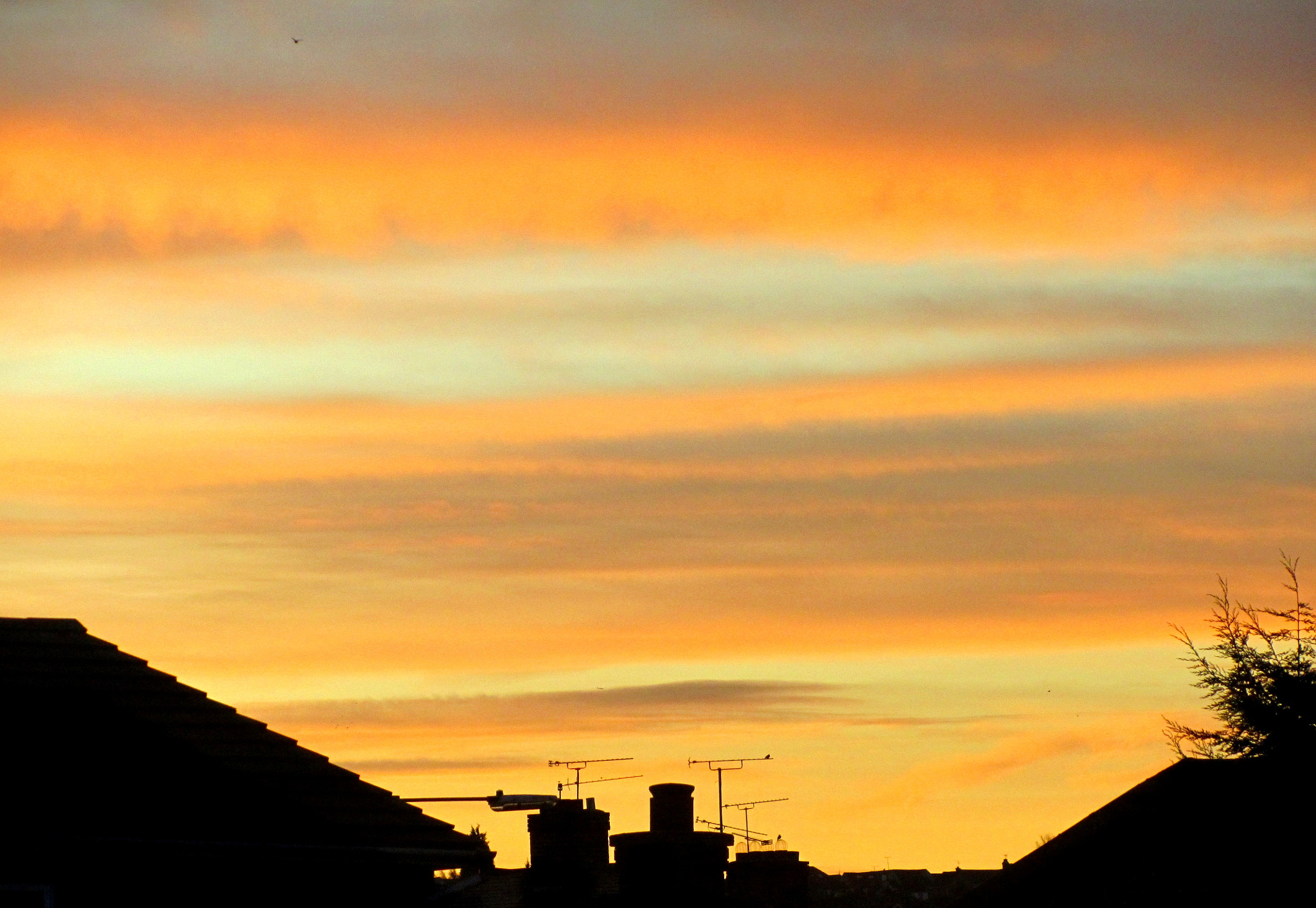 Canon PowerShot SX210 IS sample photo. Sunrise over rayleigh, essex on 11th january 2012 photography
