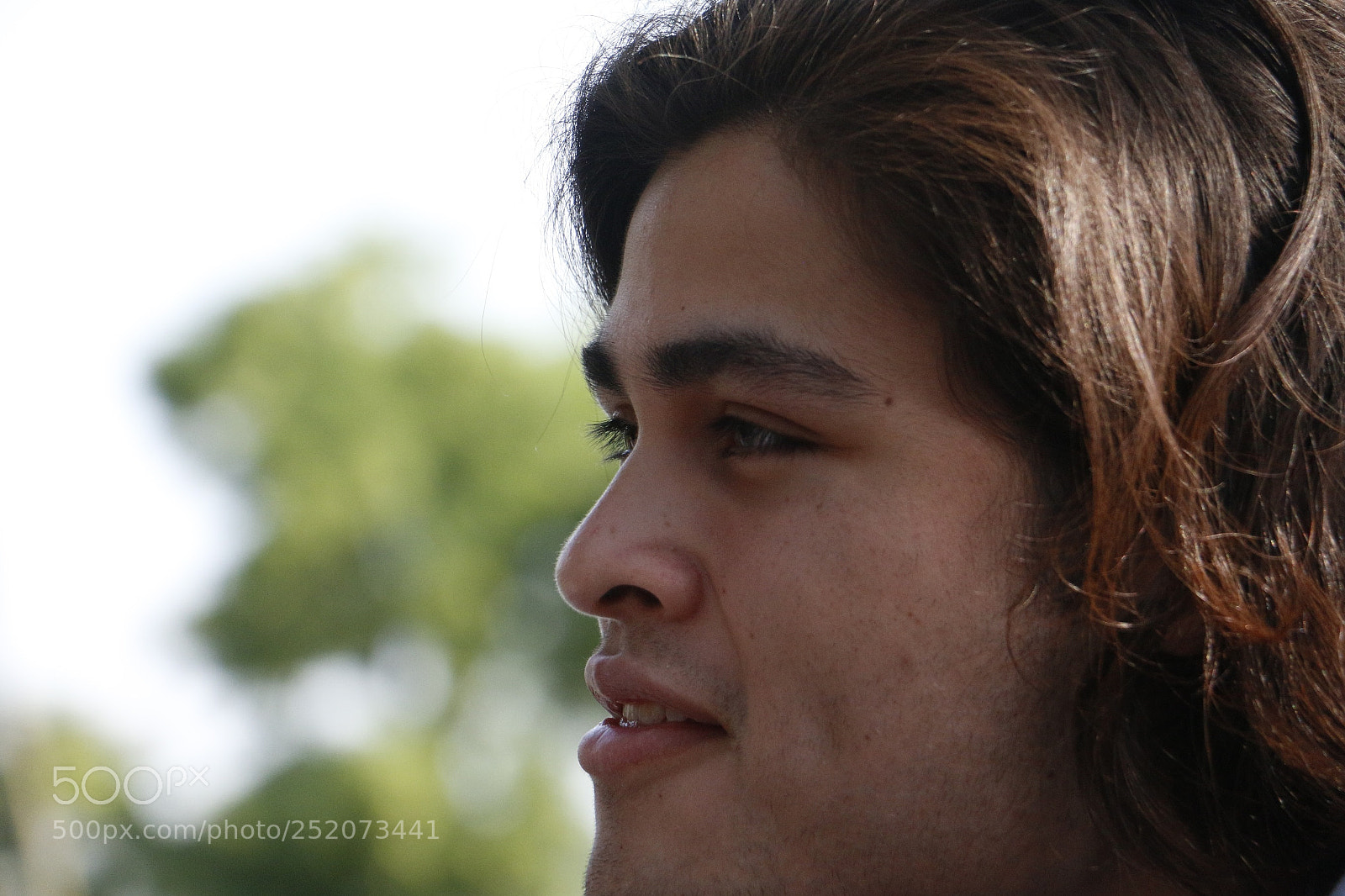 Canon EOS 70D sample photo. Whatapicture3 photography