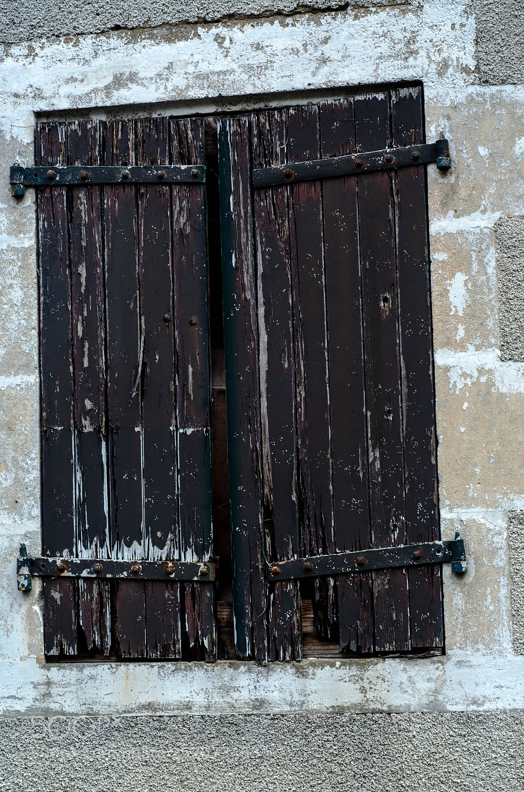 Nikon D7000 sample photo. Tlc needed photography