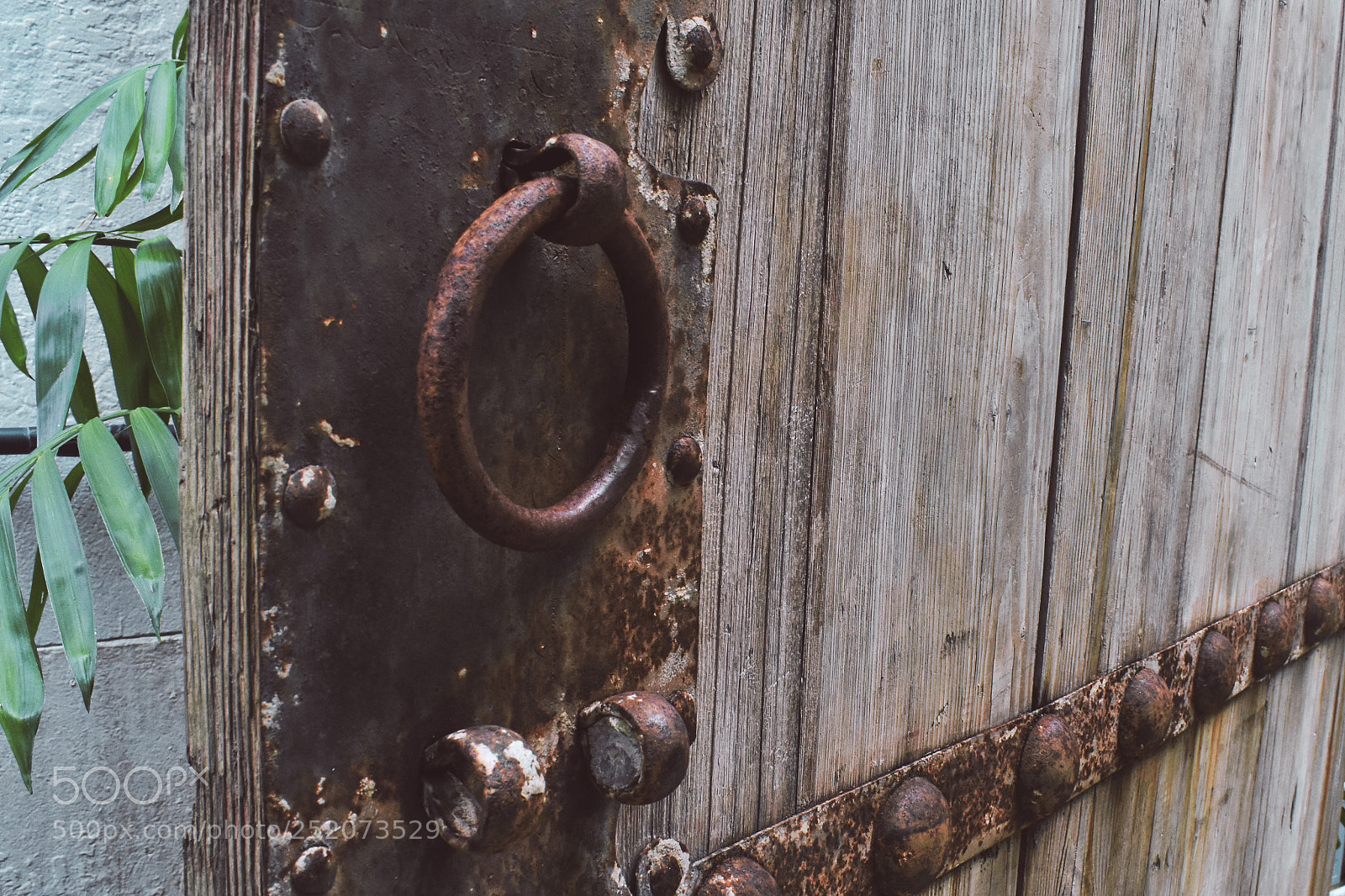 Nikon D3400 sample photo. A door to the photography