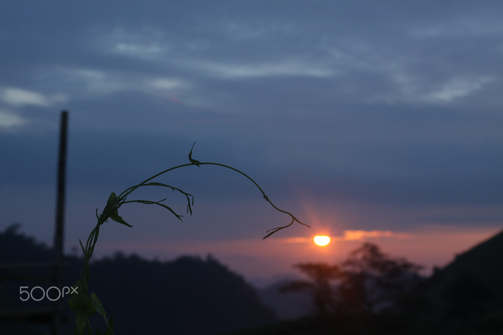 Canon EOS 50D + Canon EF 50mm F1.8 II sample photo. Dawn in vietnam photography