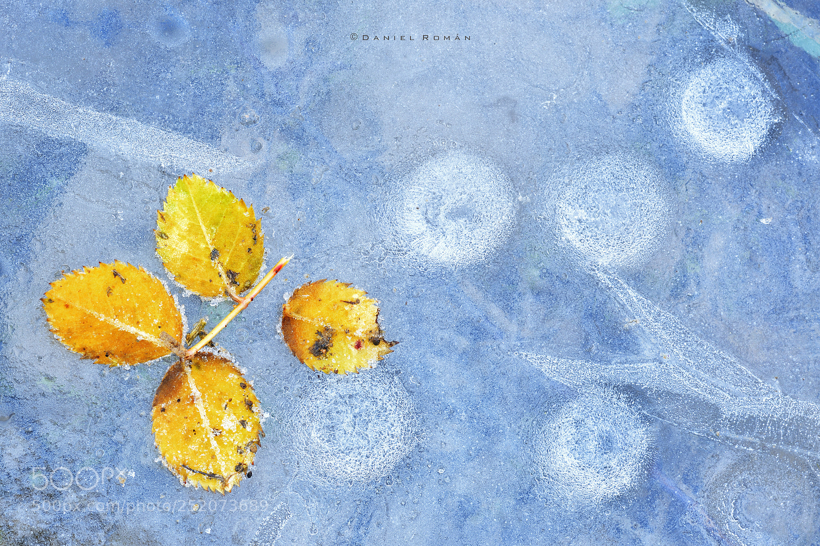 Nikon D500 sample photo. Hielo photography