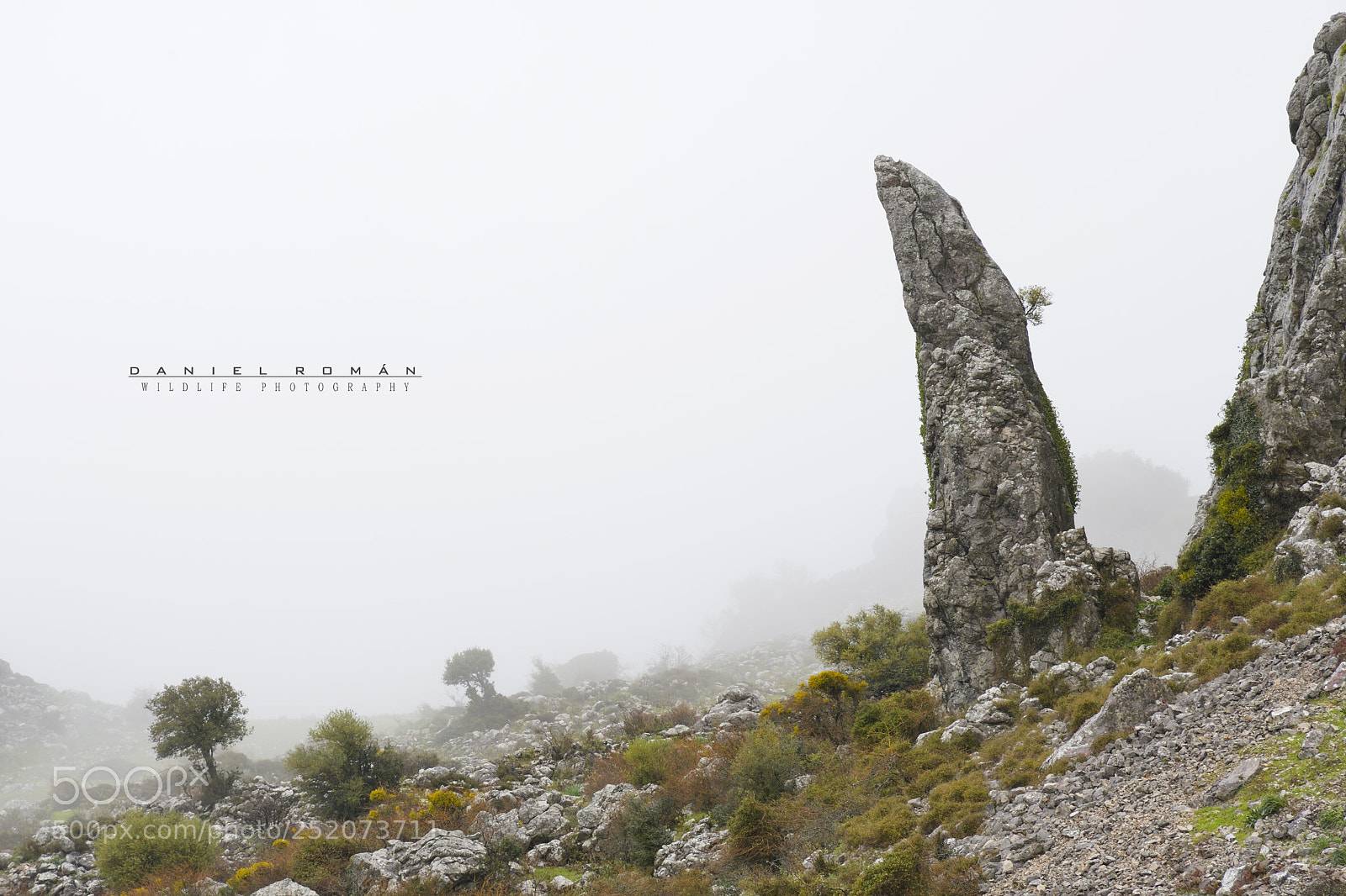 Nikon D500 sample photo. Niebla en el pico photography