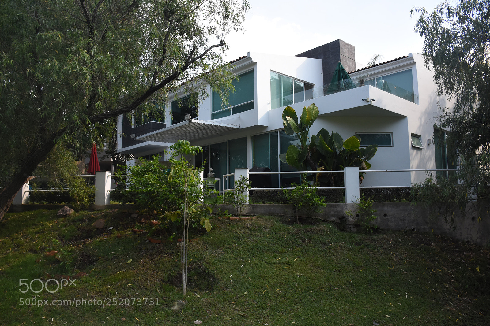 Nikon D7200 sample photo. Aaaaaaaaaaaaaaaaaaaaaaaaaaaaaa photography