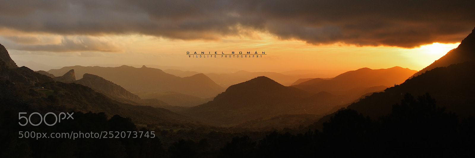 Nikon D500 sample photo. Atardecer en la sierra photography