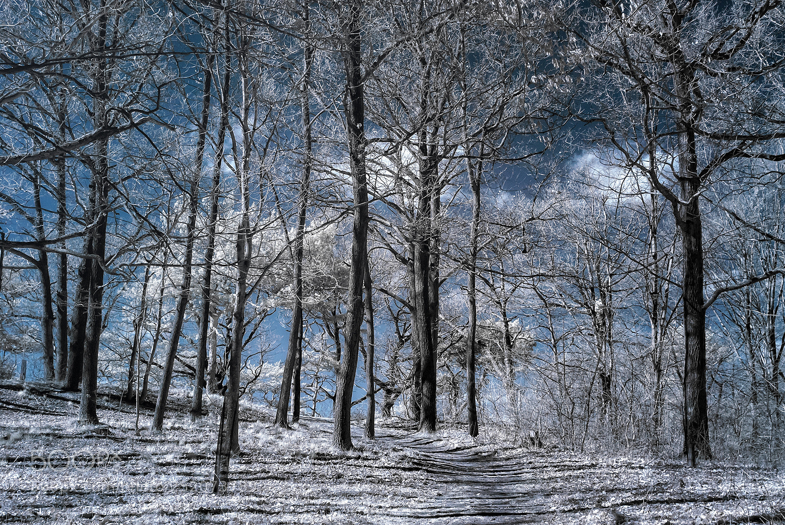 Nikon D80 sample photo. Beyond the hill photography