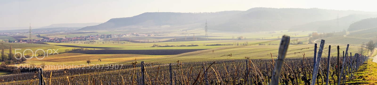 Sony a7 sample photo. Panorama vineyard landscape view photography