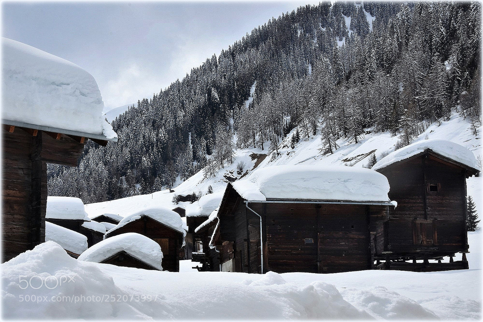 Nikon D7200 sample photo. "snowed in" photography