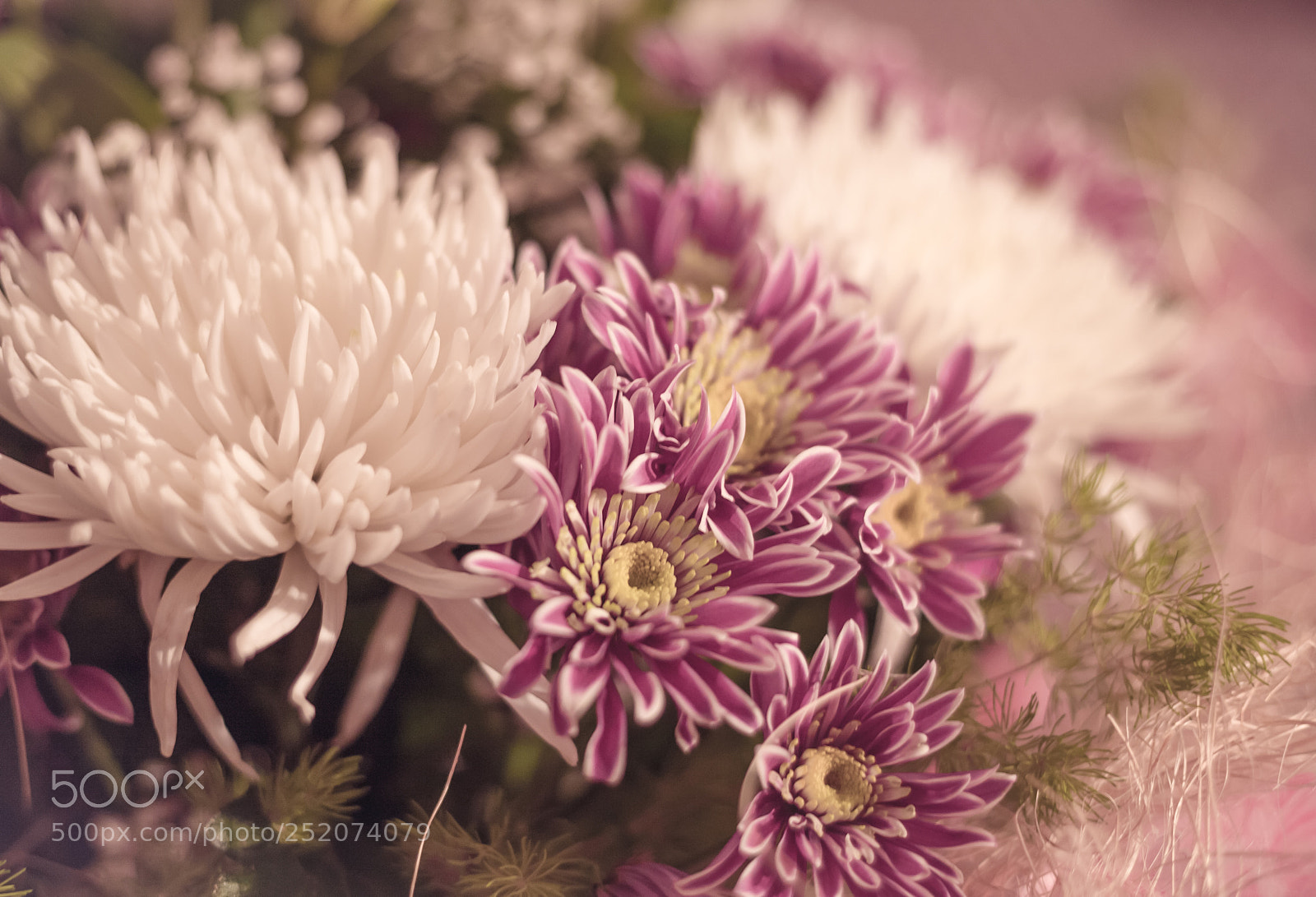 Canon EOS 5D sample photo. Bouquet flowers chrysanthemums purple photography