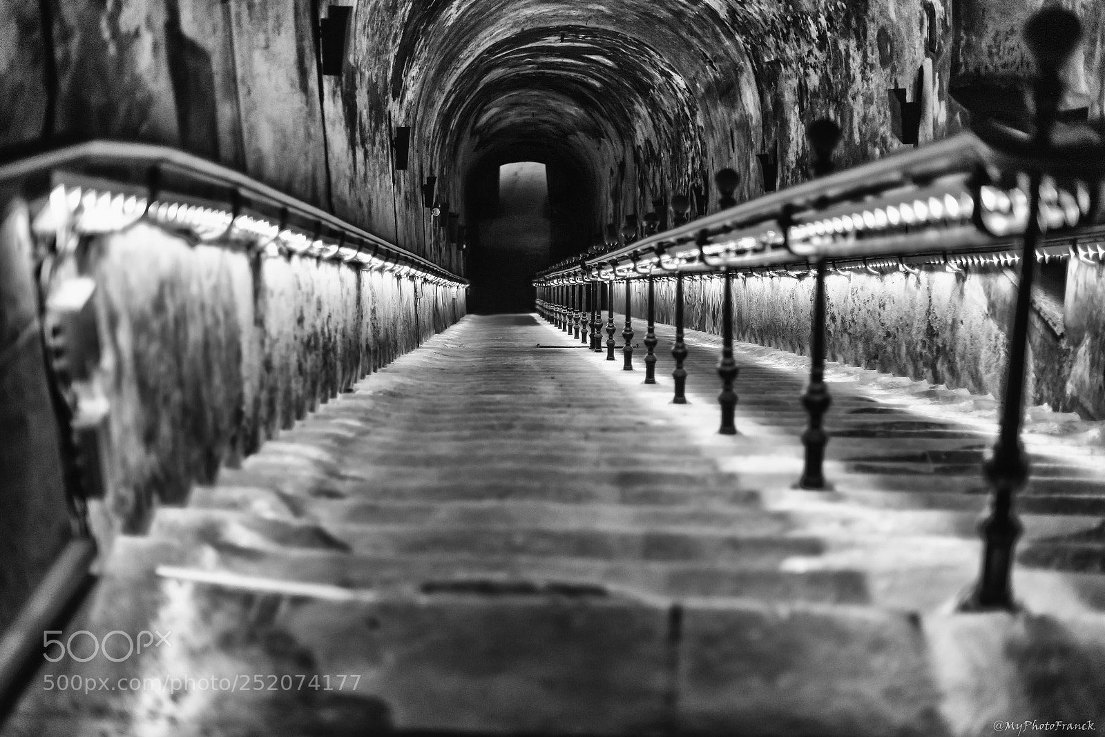 Nikon D800E sample photo. Cave pommery photography