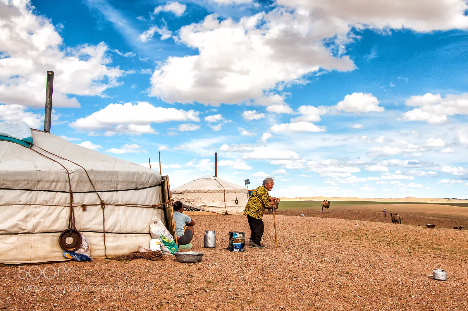 Nikon D90 sample photo. Mongol landscape photography
