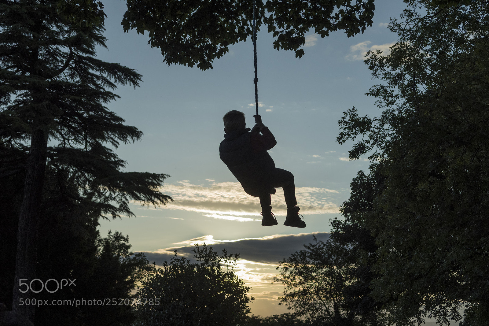 Nikon D500 sample photo. Swing-line photography