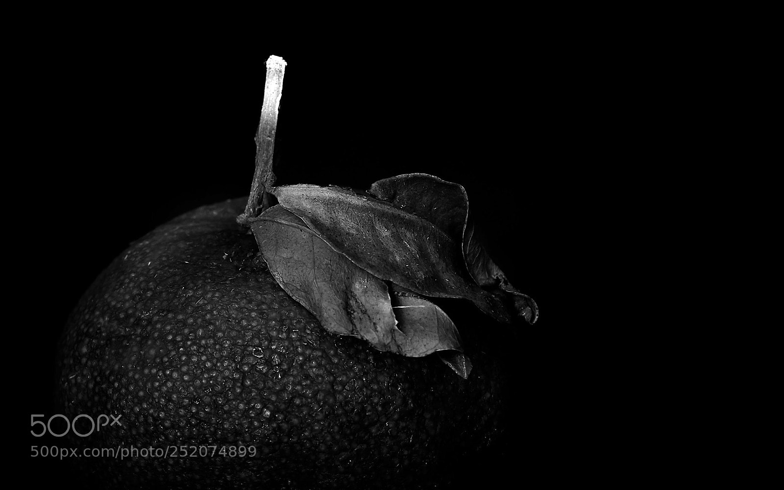 Nikon D810 sample photo. Clementine sw 21 photography