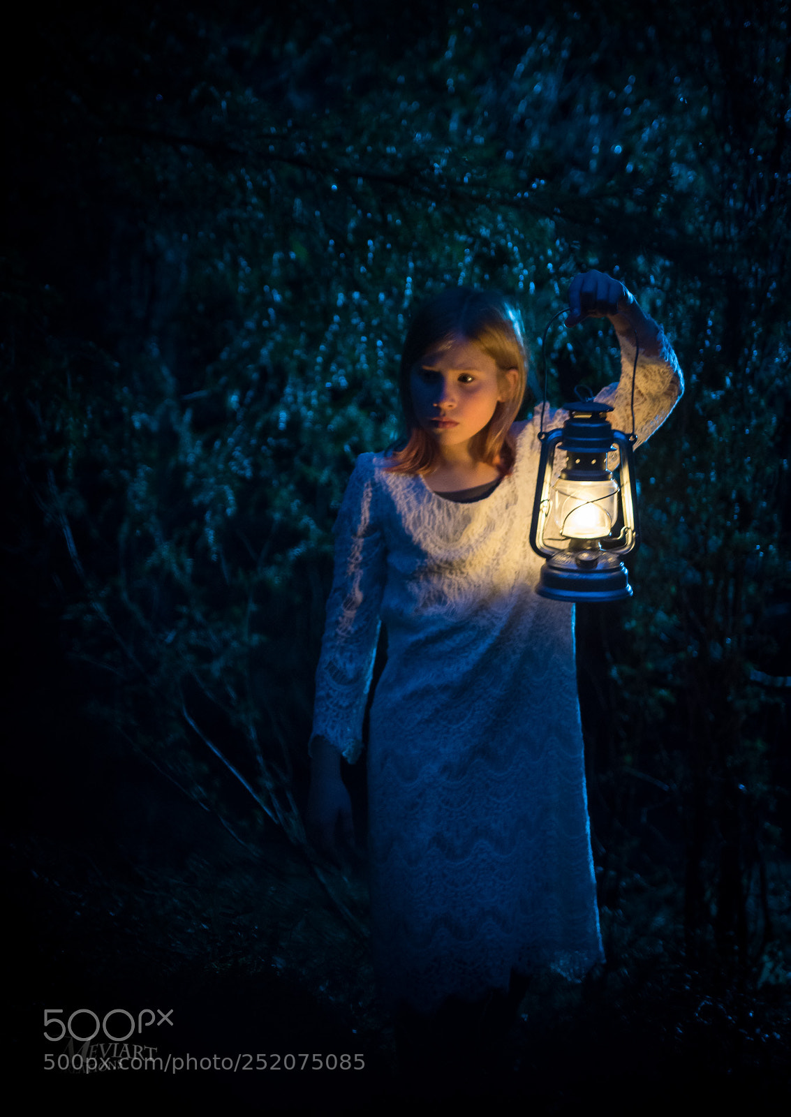 Nikon D7200 sample photo. Lost in the woods photography