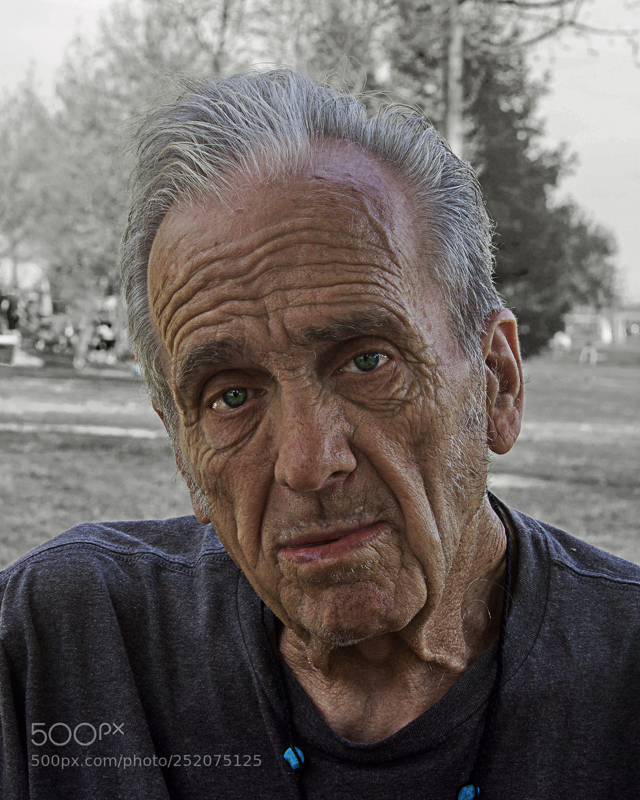 Canon EOS 450D (EOS Rebel XSi / EOS Kiss X2) sample photo. Dragan effect grandfather photography