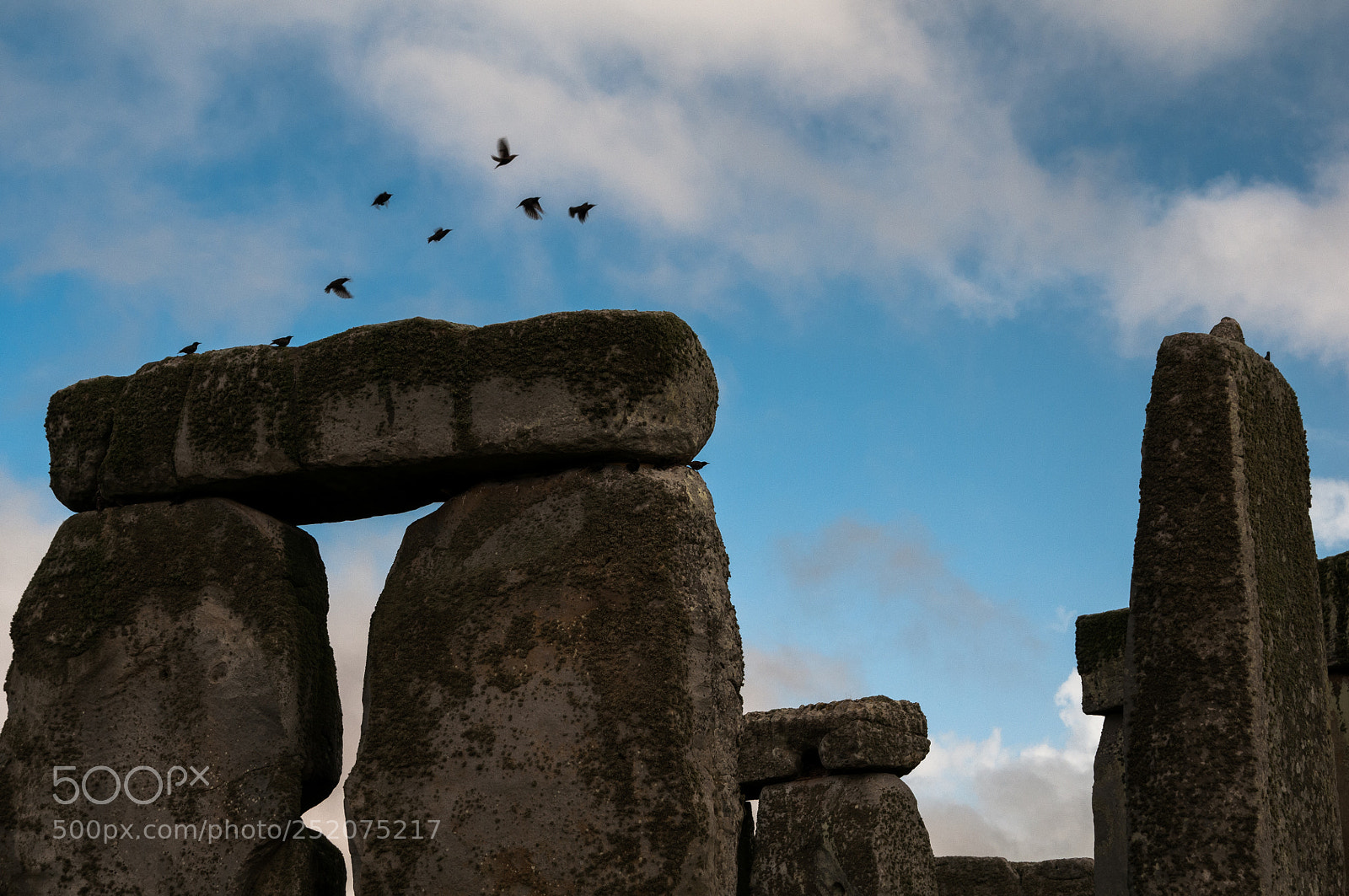 Nikon D300 sample photo. Stonehenge photography