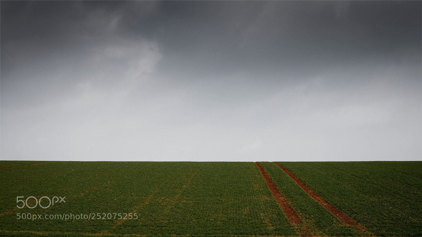 Nikon D800 sample photo. Traces photography