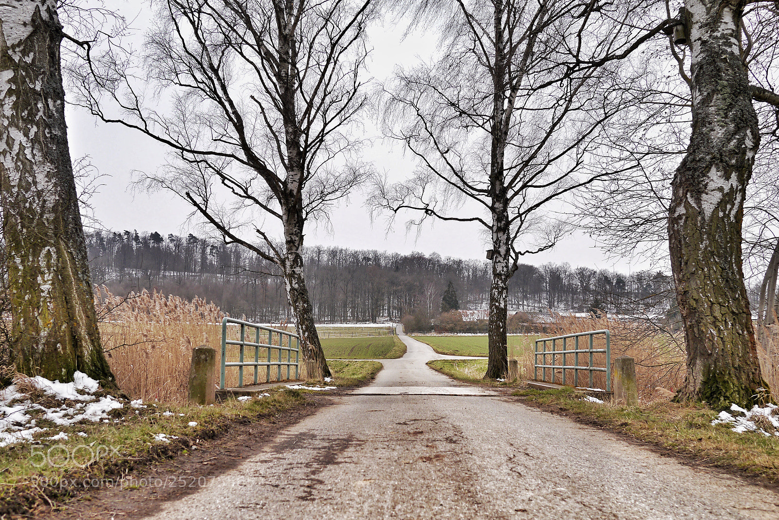 Panasonic Lumix DMC-G3 sample photo. Path #83 photography