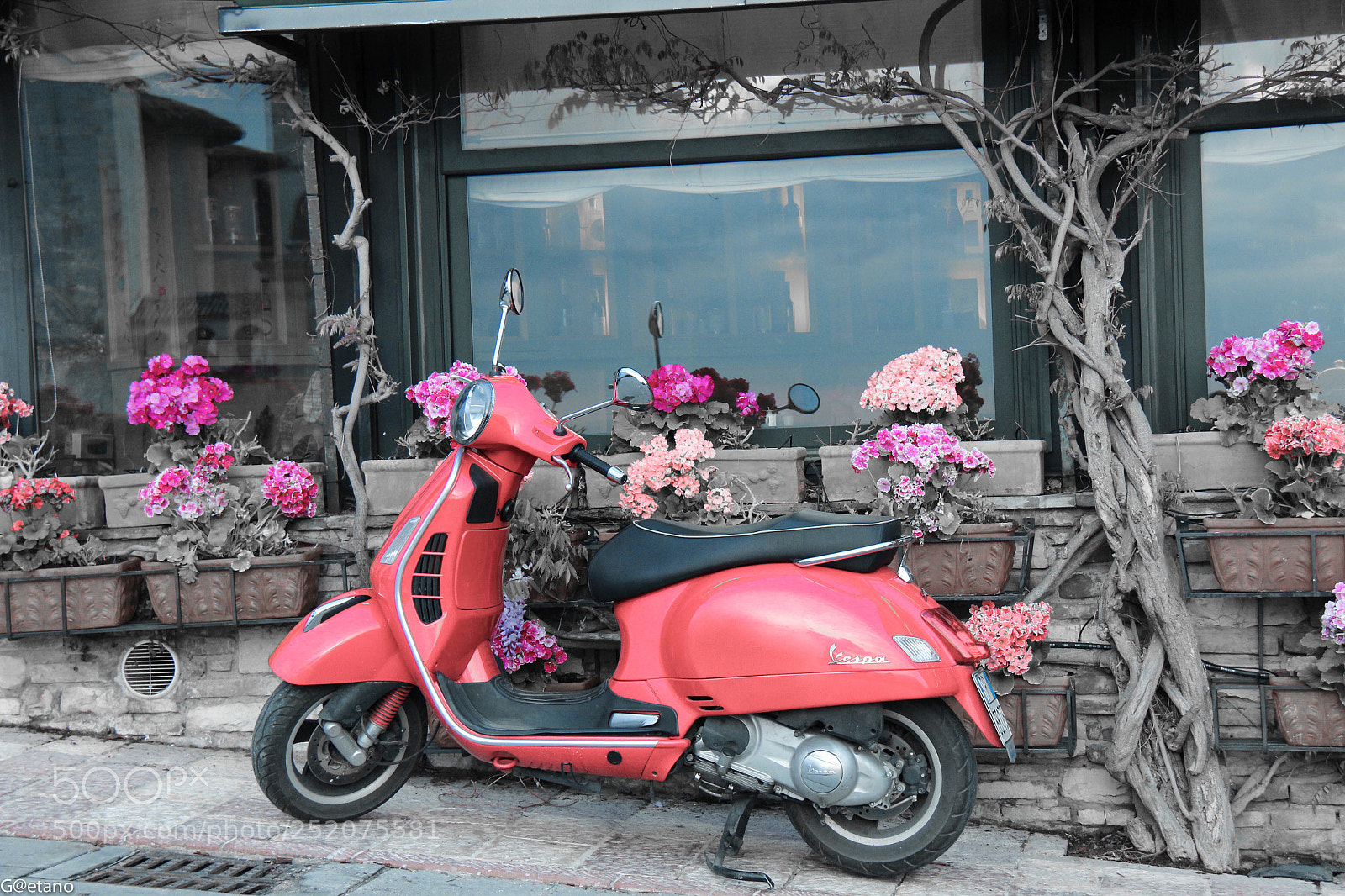 Canon EOS 600D (Rebel EOS T3i / EOS Kiss X5) sample photo. 50 special (vespa) photography