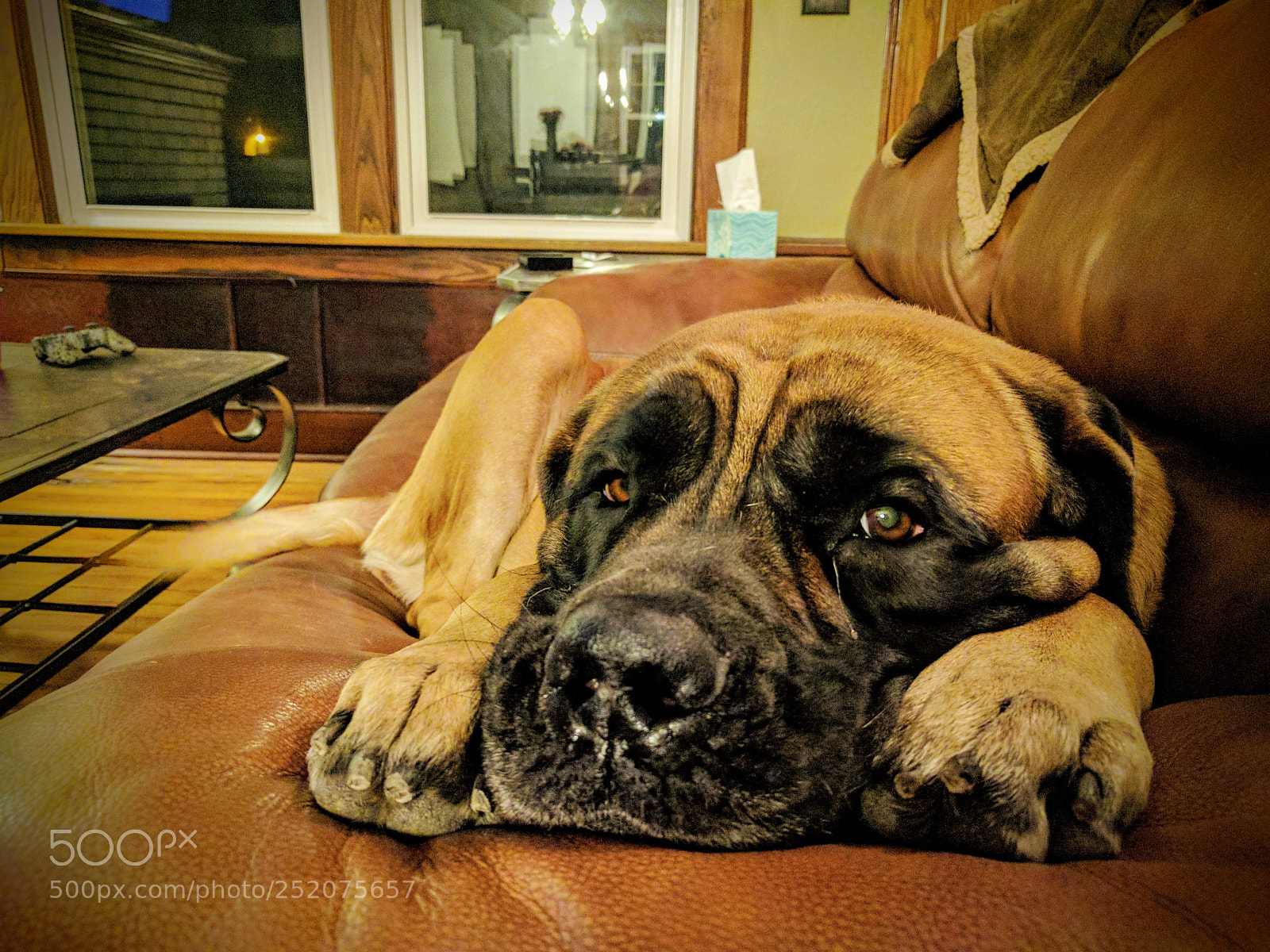 Google Nexus 6P sample photo. Img_20170216_184330.jpg photography
