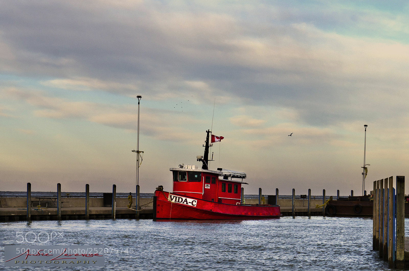 Nikon D7000 sample photo. Tugboat photography