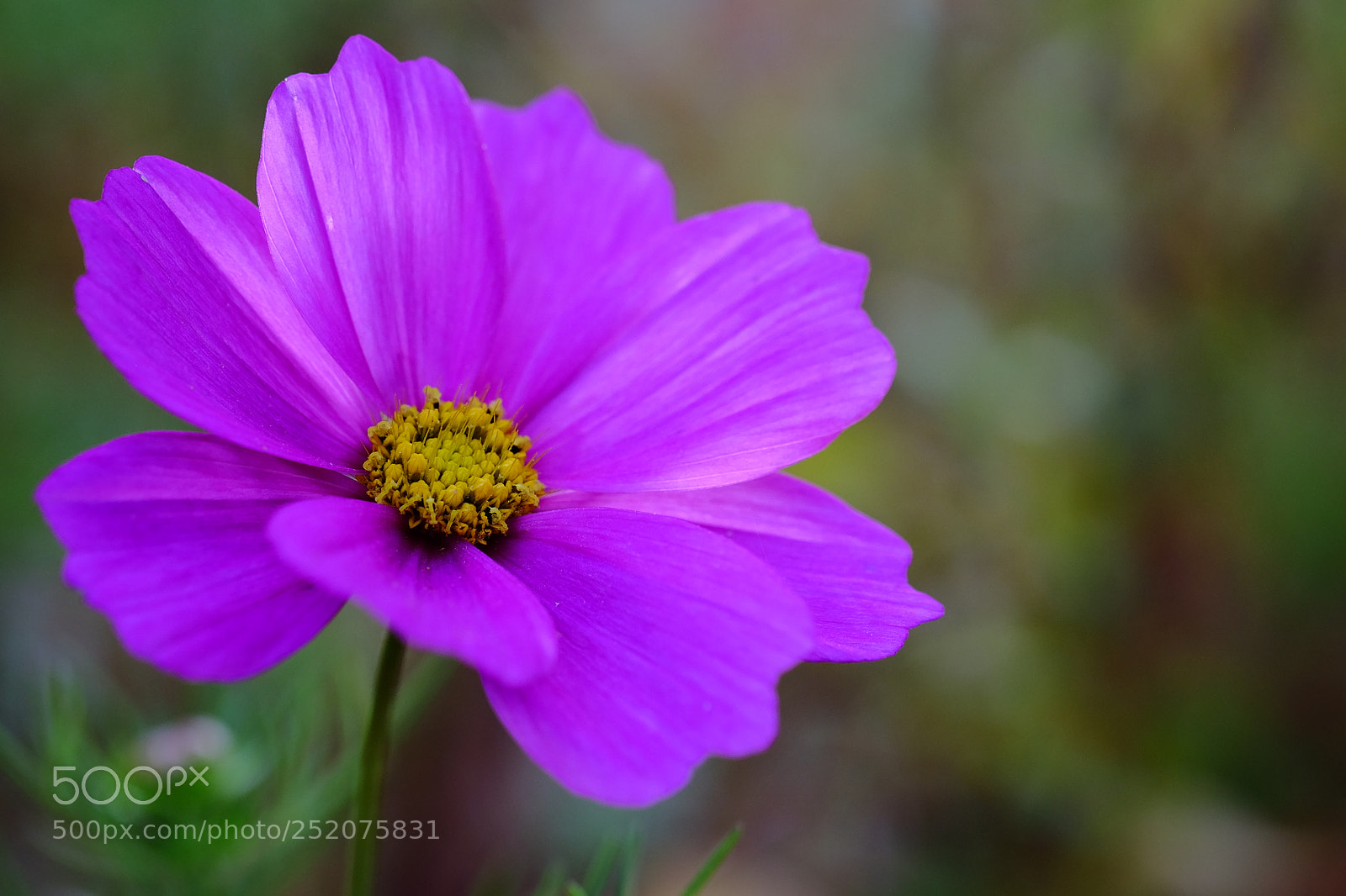 Fujifilm X-T10 sample photo. 538 photography