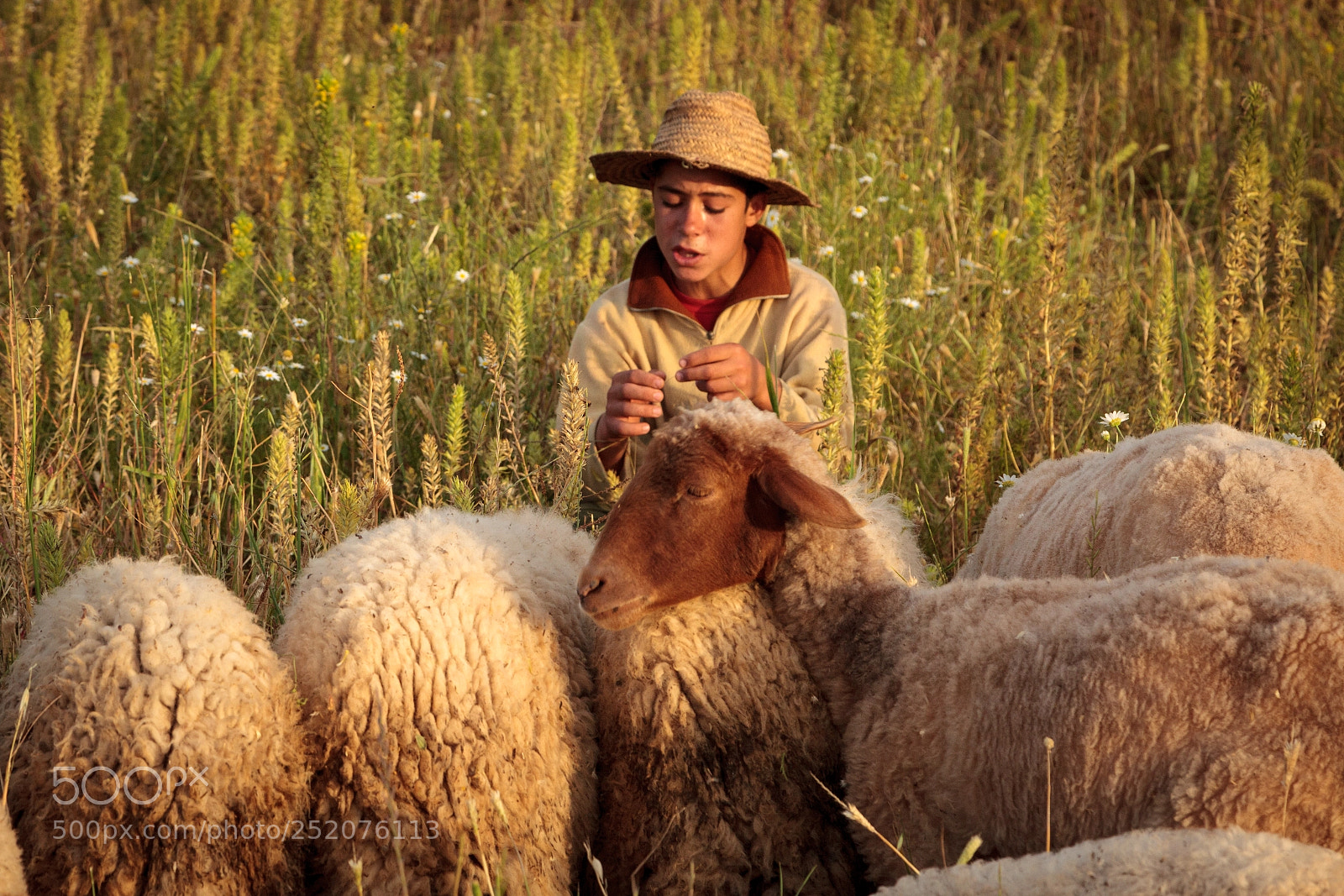 Canon EOS 5D Mark II sample photo. Morocco photography