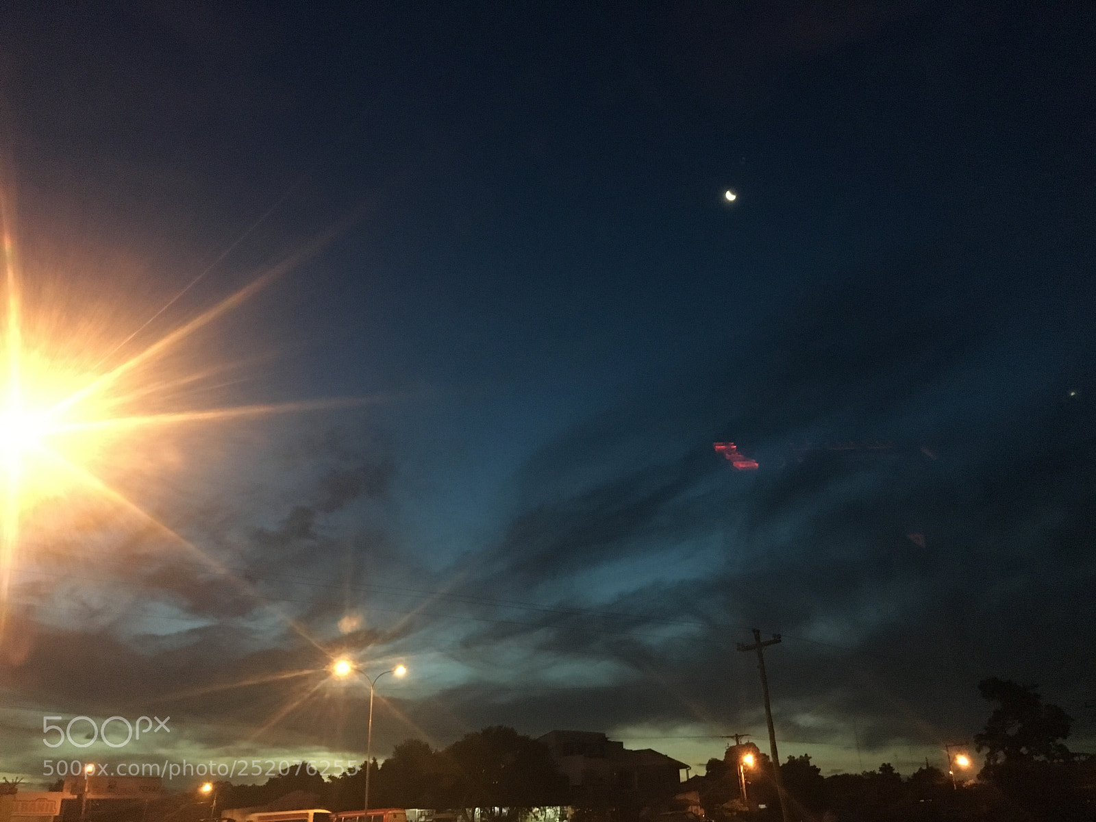 Apple iPhone 6s sample photo. Untitled photography