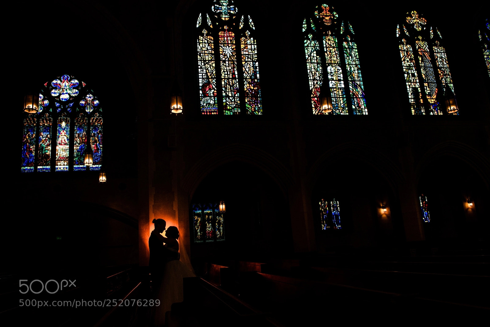 Nikon D850 sample photo. Untitled photography