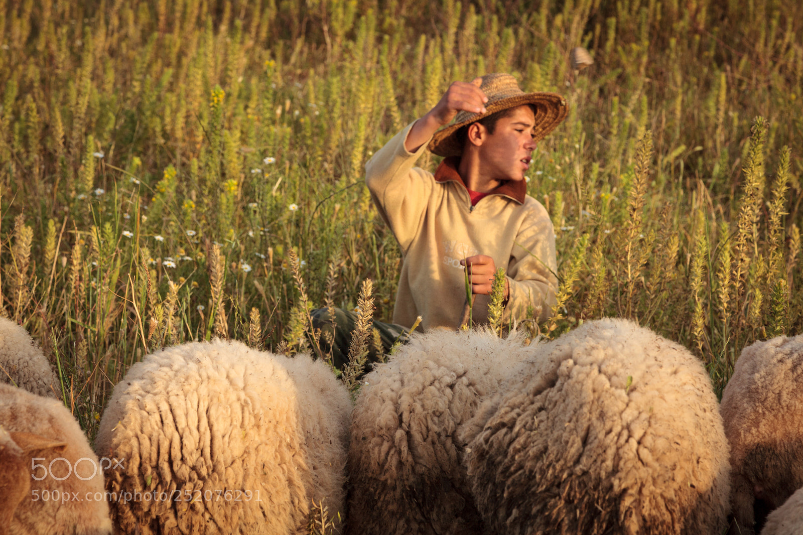 Canon EOS 5D Mark II sample photo. Morocco photography