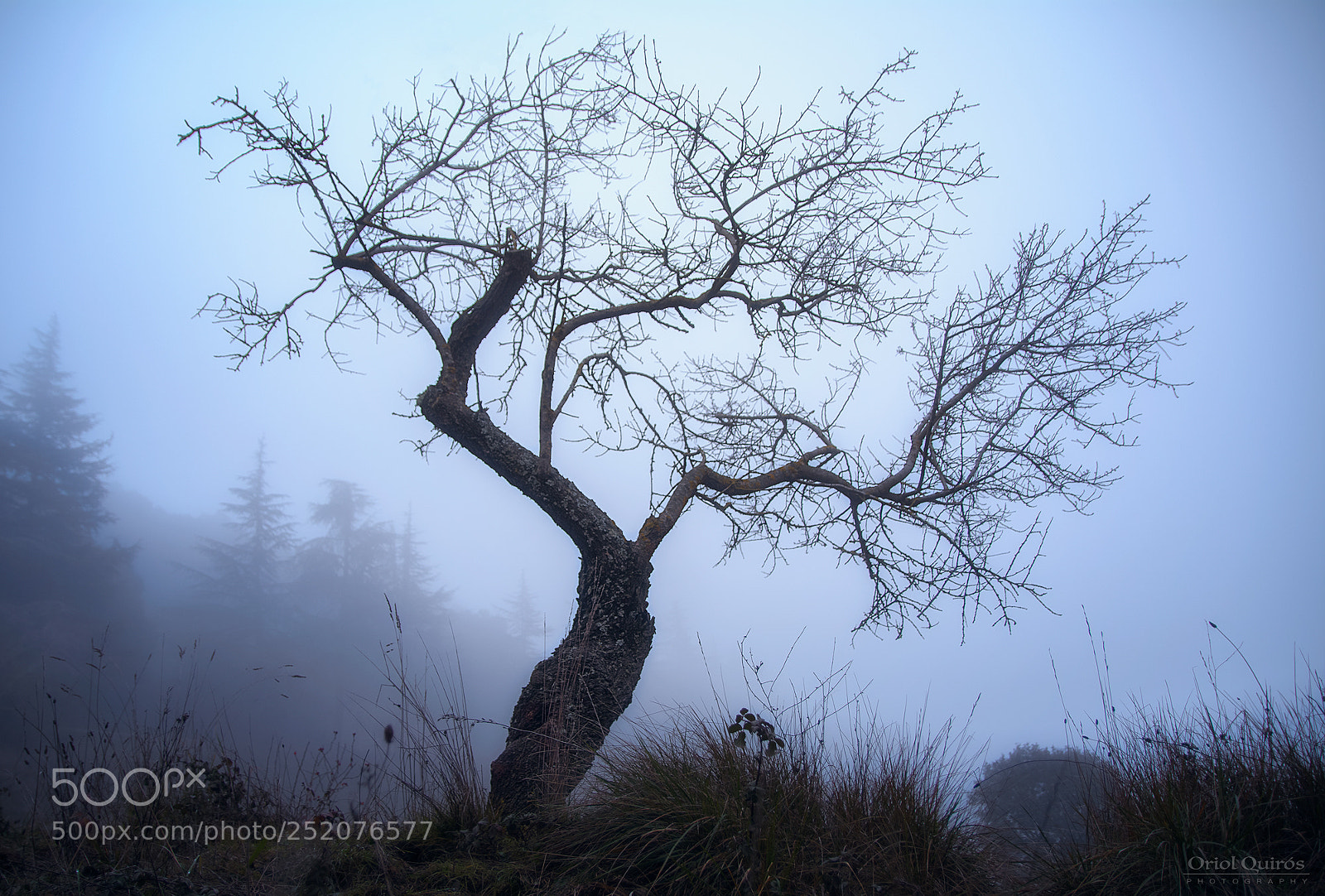 Nikon D7100 sample photo. Foggy light photography