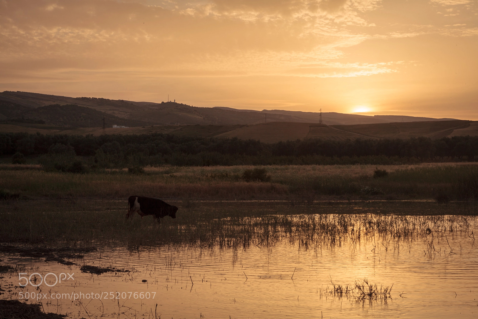 Canon EOS 5D Mark II sample photo. Morocco photography