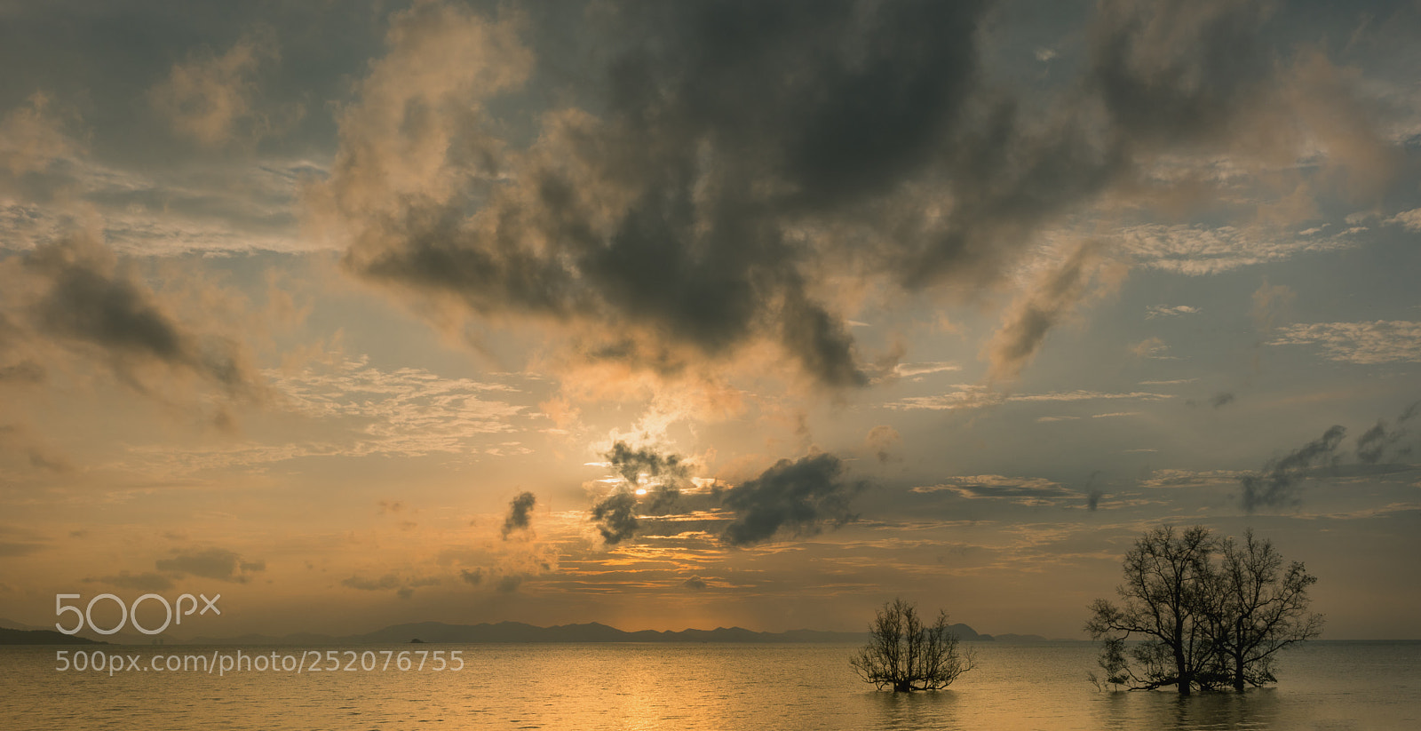 Sony a99 II sample photo. Snrse photography