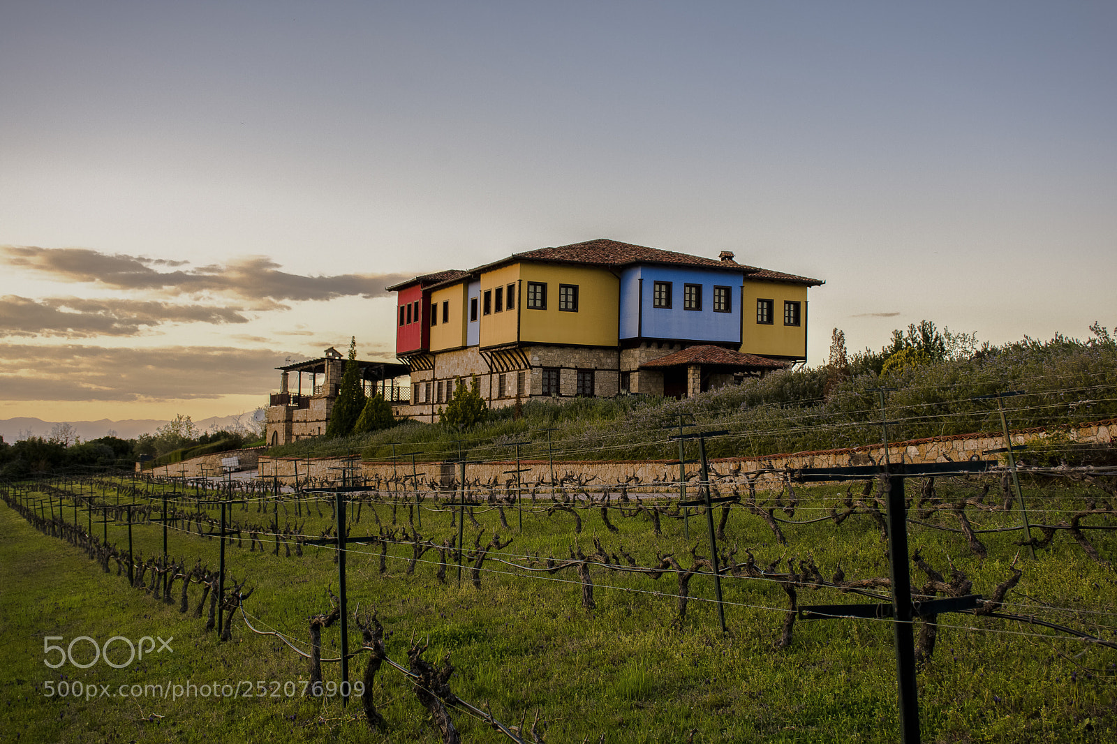 Nikon D7200 sample photo. Domain kalaitzi photography