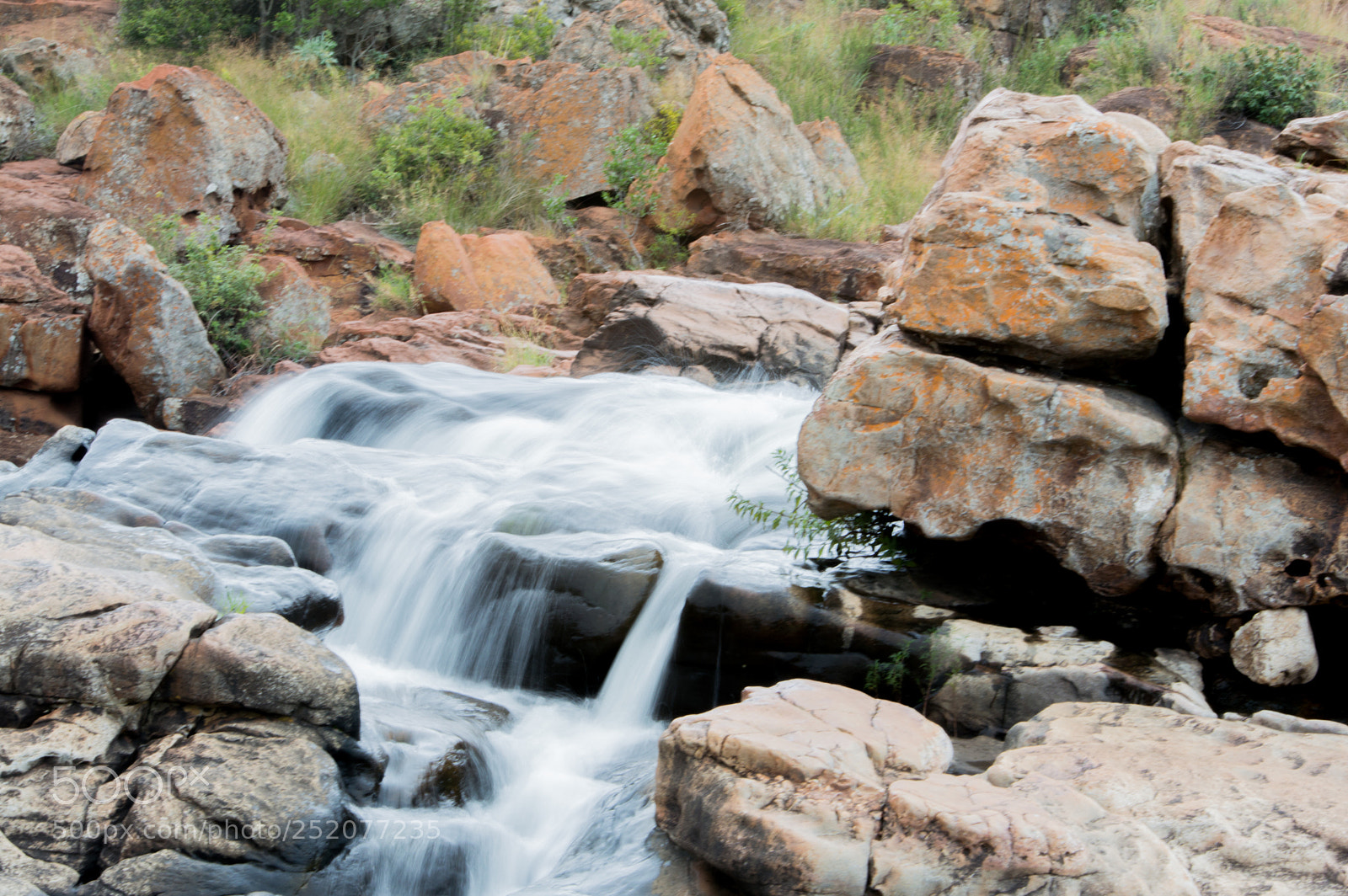 Nikon D3200 sample photo. Nature beauty photography