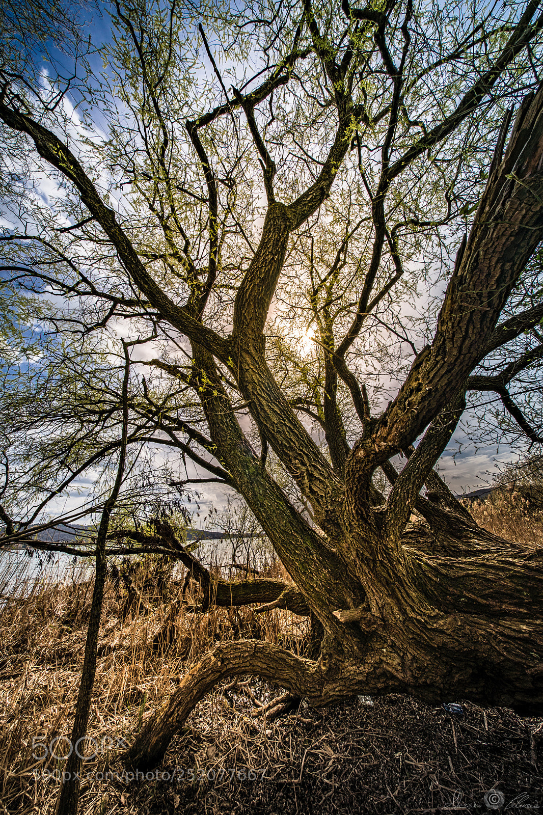 Sony a7 sample photo. Only nature photography