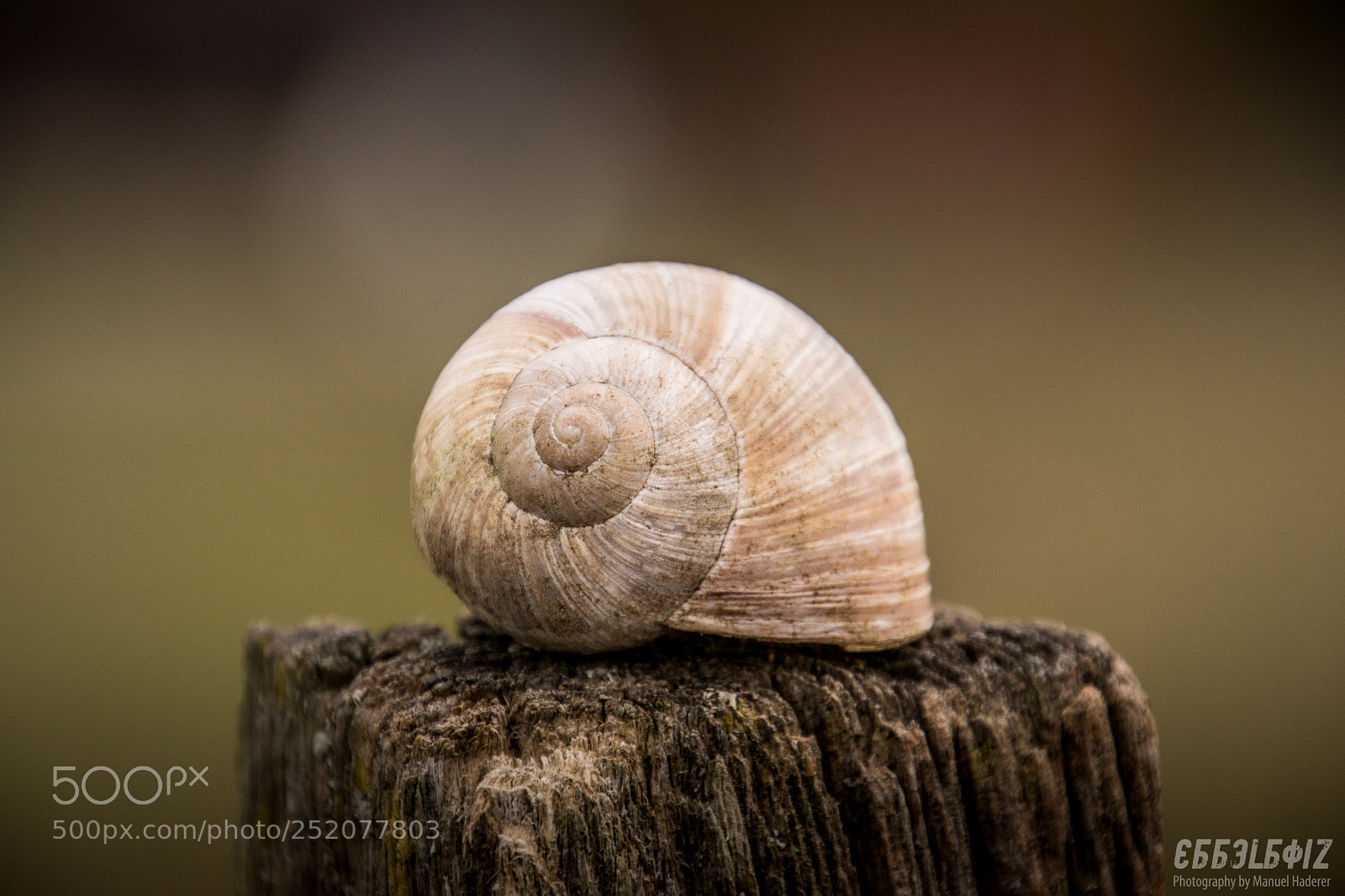 Sony ILCA-77M2 sample photo. Natural shape photography