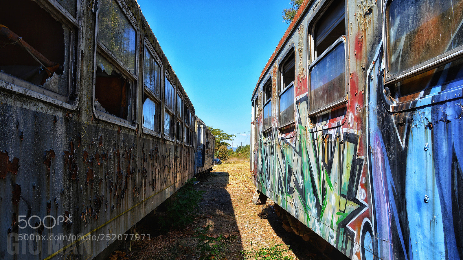 Nikon D5200 sample photo. Abandoned wagons photography
