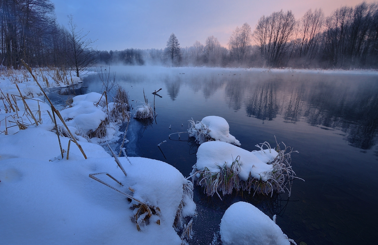 Nikon D800 + Sigma 10-20mm F3.5 EX DC HSM sample photo. Nd8_8128 1.jpg photography