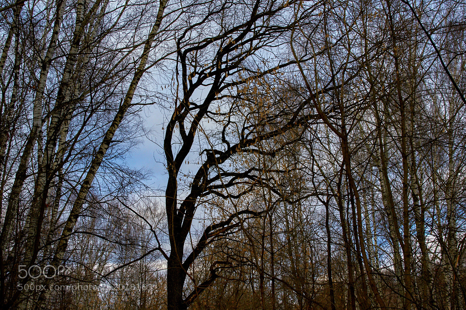 Nikon D5300 sample photo. Untitled photography