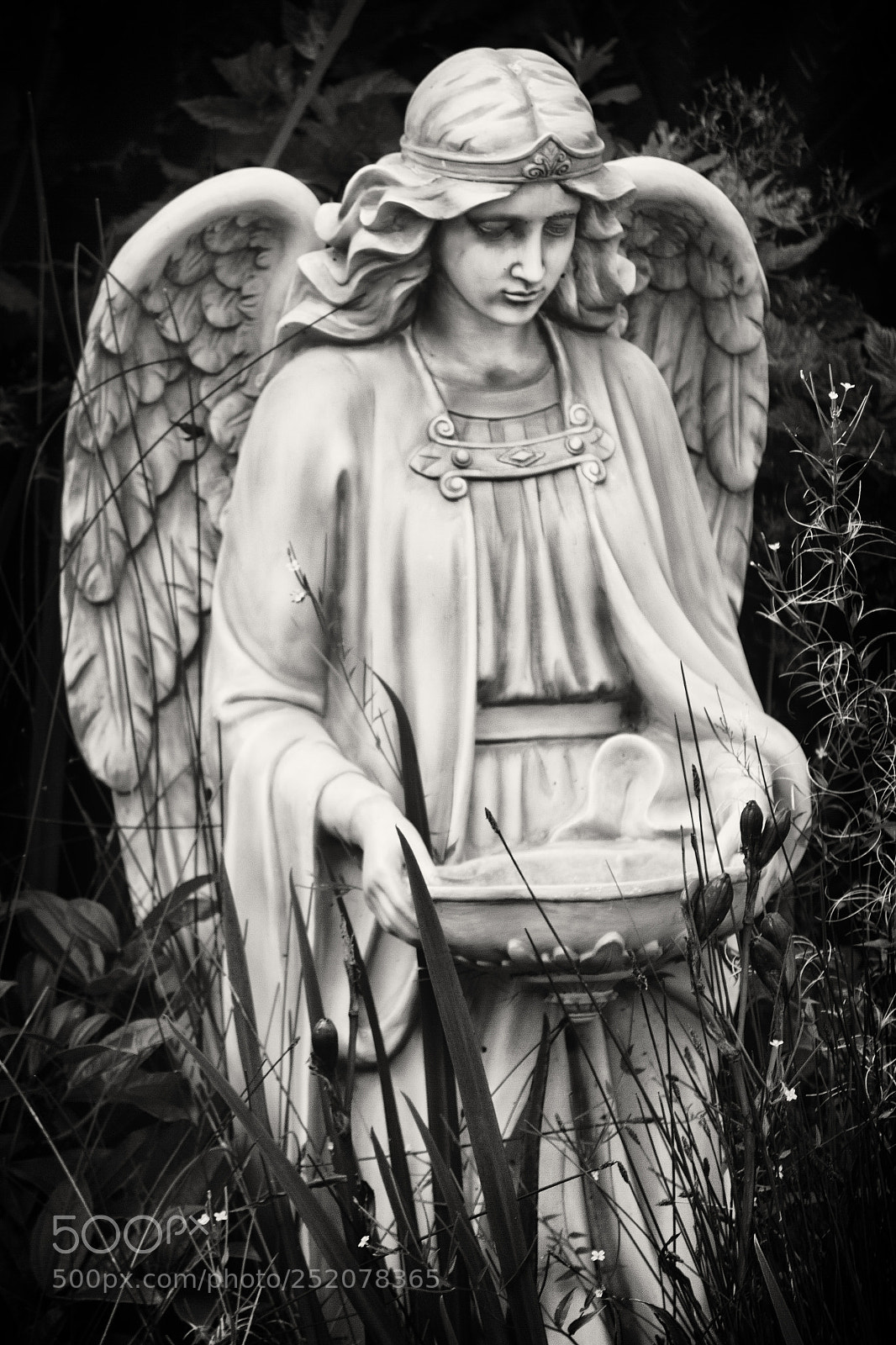 Canon EOS 550D (EOS Rebel T2i / EOS Kiss X4) sample photo. Weeping angel photography