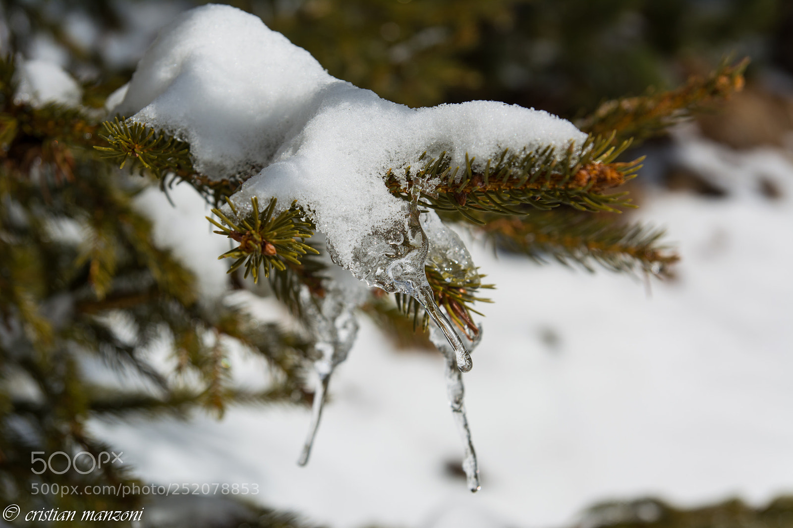 Nikon D5200 sample photo. Untitled photography