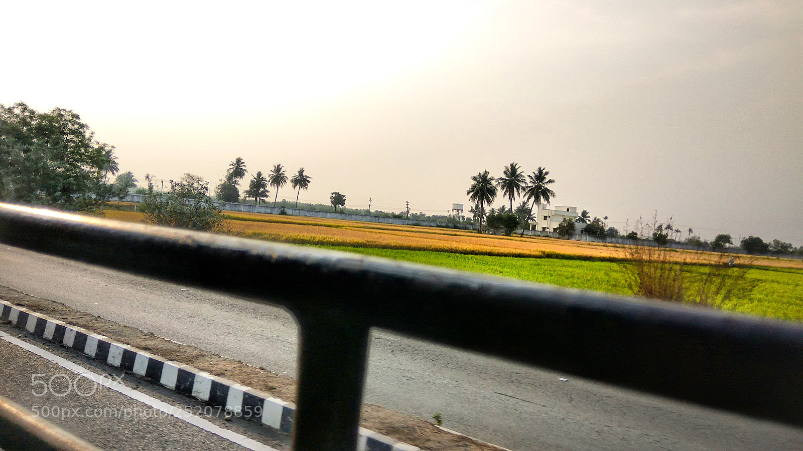 Xiaomi Redmi Note3 sample photo. Window view photography