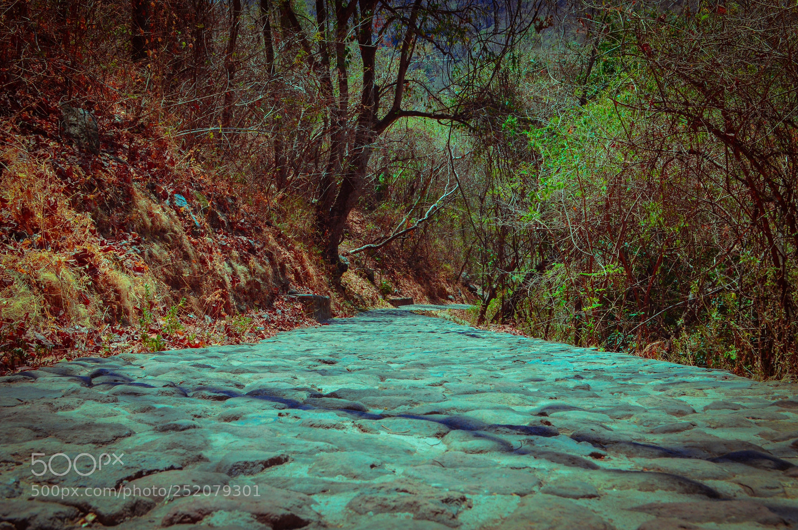 Nikon D3200 sample photo. Vereda photography