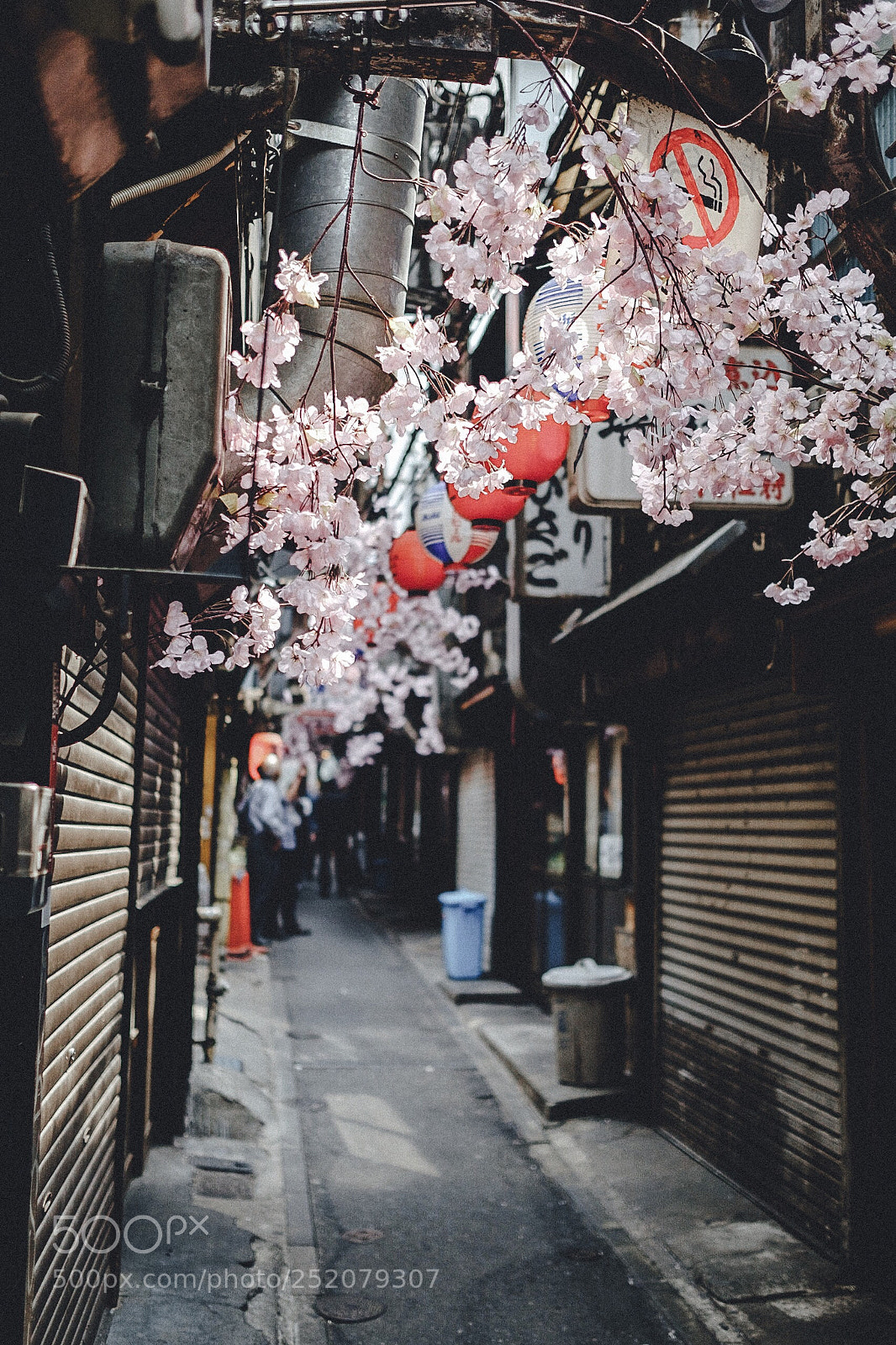 Fujifilm X-Pro1 sample photo. Tokyo springs. photography
