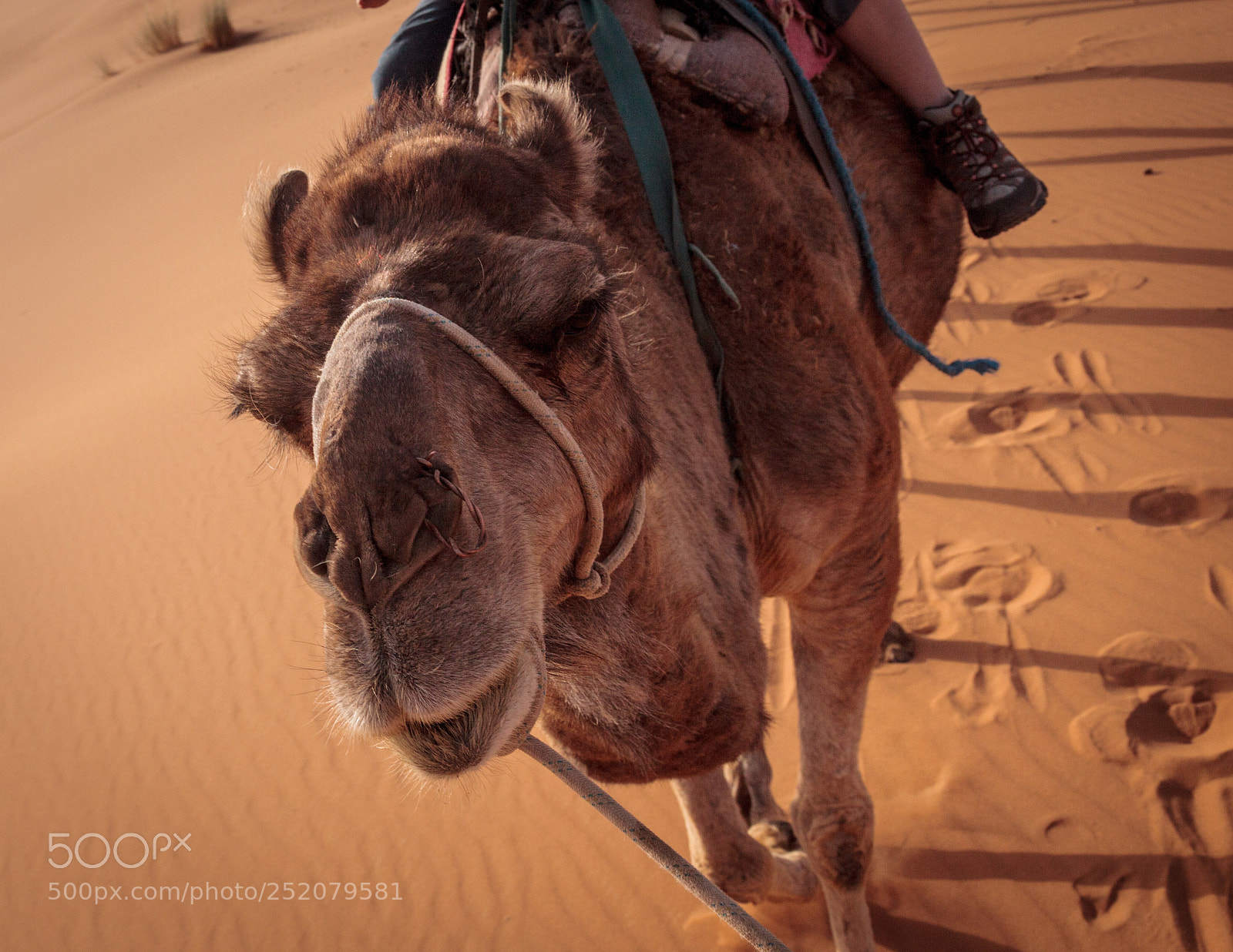 Canon EOS 5D Mark II sample photo. Morocco photography