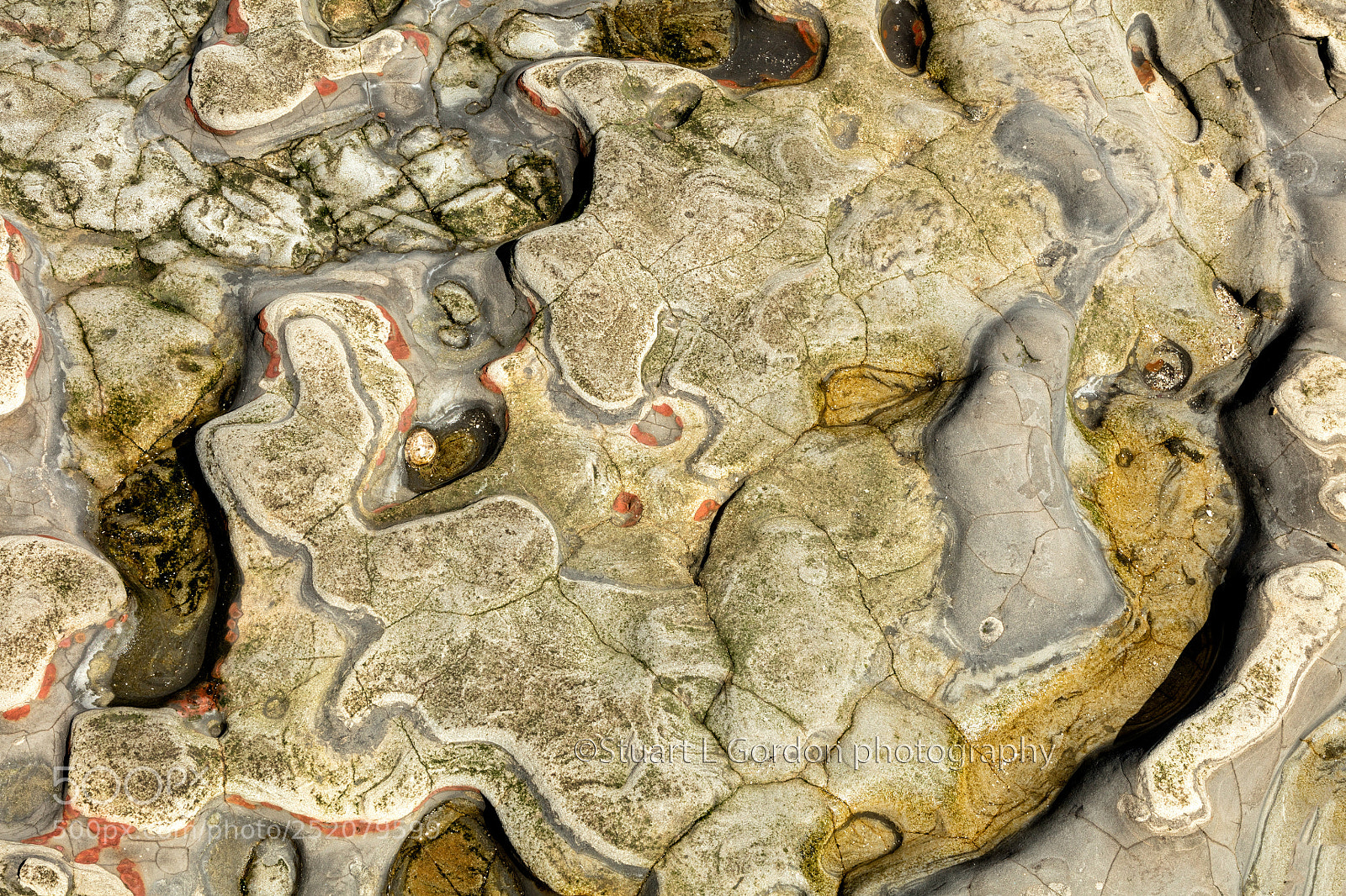 Canon EOS 5DS R sample photo. Tide pool abstract photography
