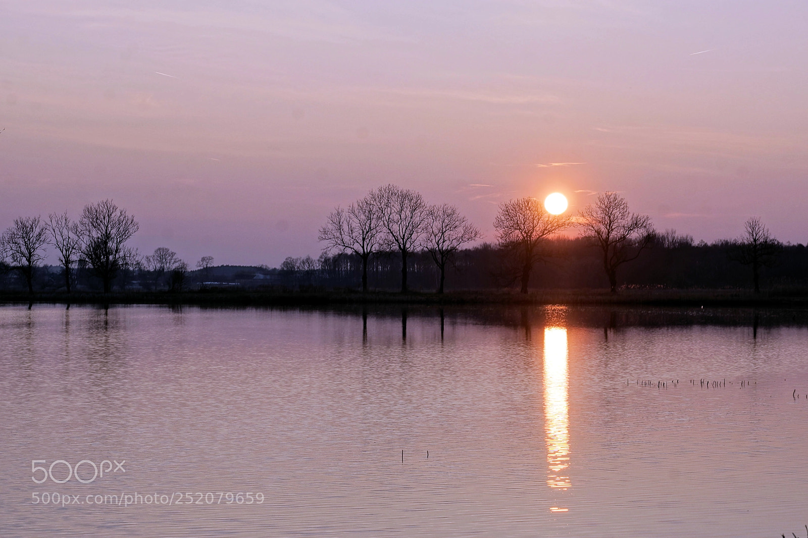 Sony SLT-A77 sample photo. Sound of silence photography
