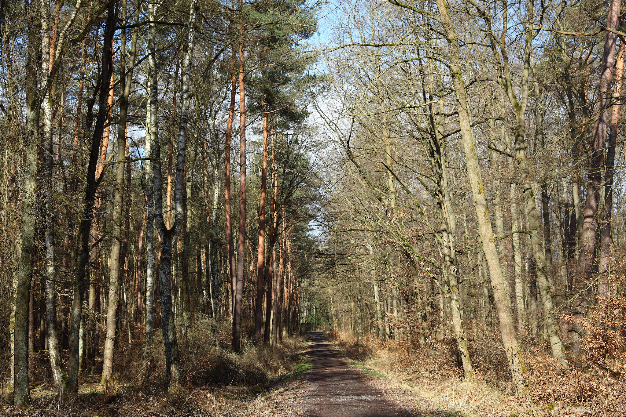 Canon EF 28-80mm f/3.5-5.6 sample photo. My way photography