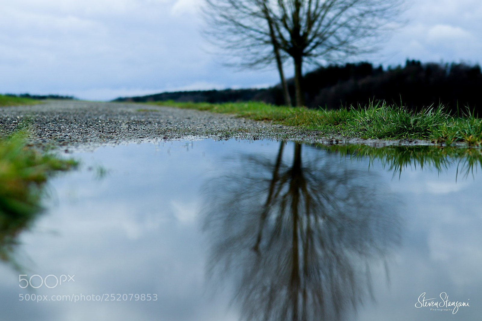 Canon EOS 77D (EOS 9000D / EOS 770D) sample photo. Reflection of a tree photography